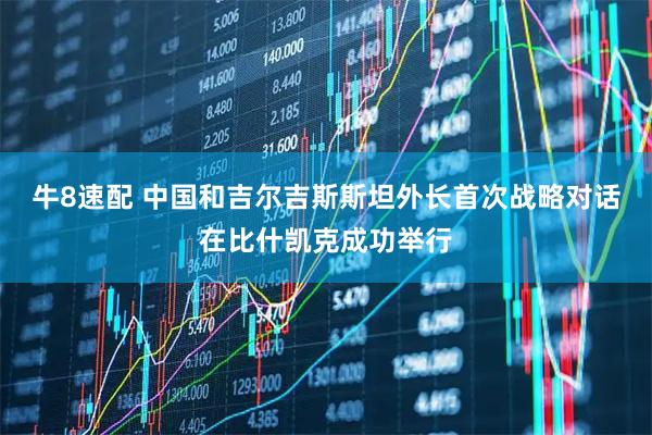 牛8速配 中国和吉尔吉斯斯坦外长首次战略对话在比什凯克成功举行